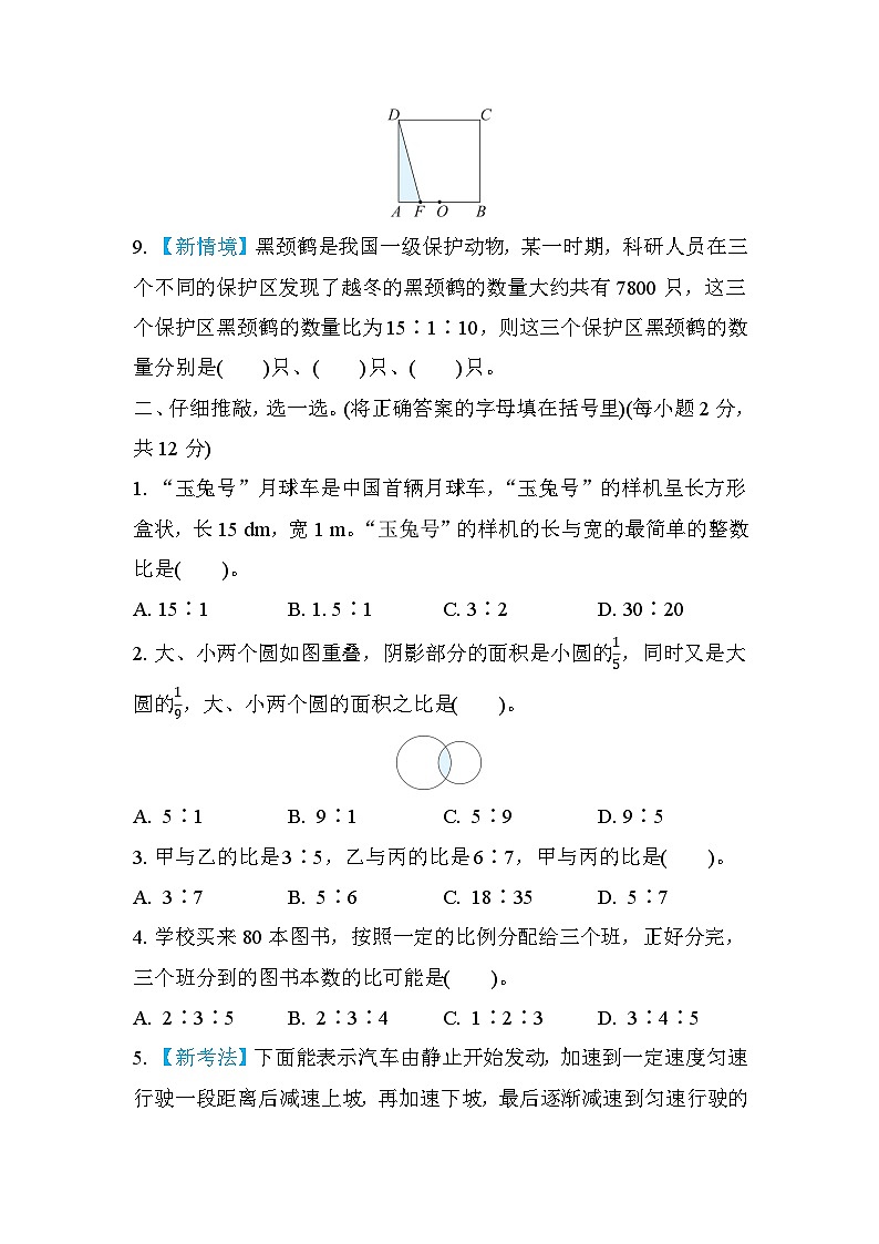 北师大版数学六上 第六单元（项测评含答案）第2页