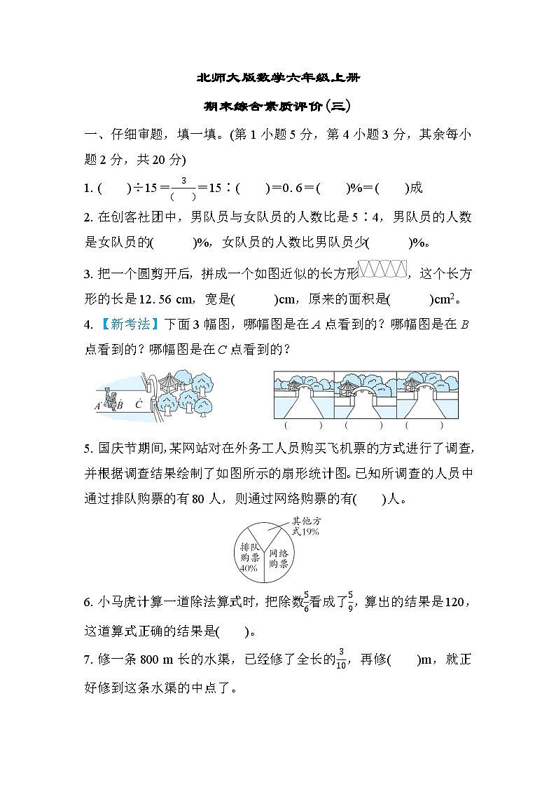 北师大版数学六上 期末综合素质评价(三)（含答案）01