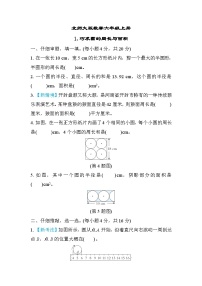 北师大版数学六上 巧求圆的周长与面积（期末专项测评含答案）