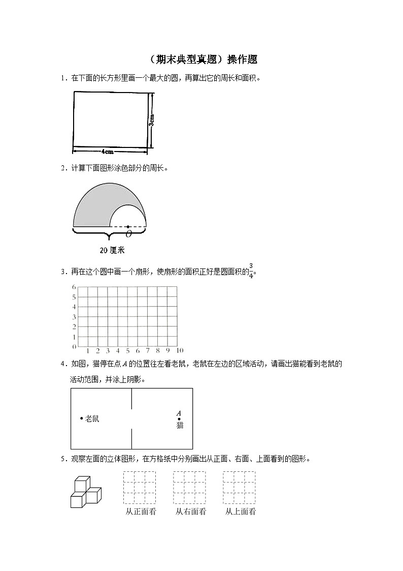 （期末典型真题）操作题-2023-2024学年六年级上册数学期末高频易错期末必刷卷（北师大版）01