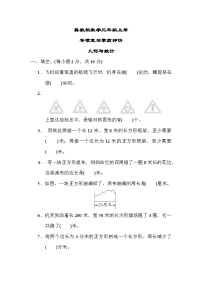 冀教版数学三上 几何与统计（期末专项测评含答案）