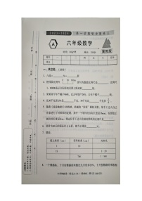 河北省邯郸市广平县2023-2024学年六年级上学期12月月考数学试题