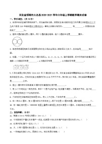 河北省邯郸市大名县2020-2021学年六年级上学期数学期末试卷