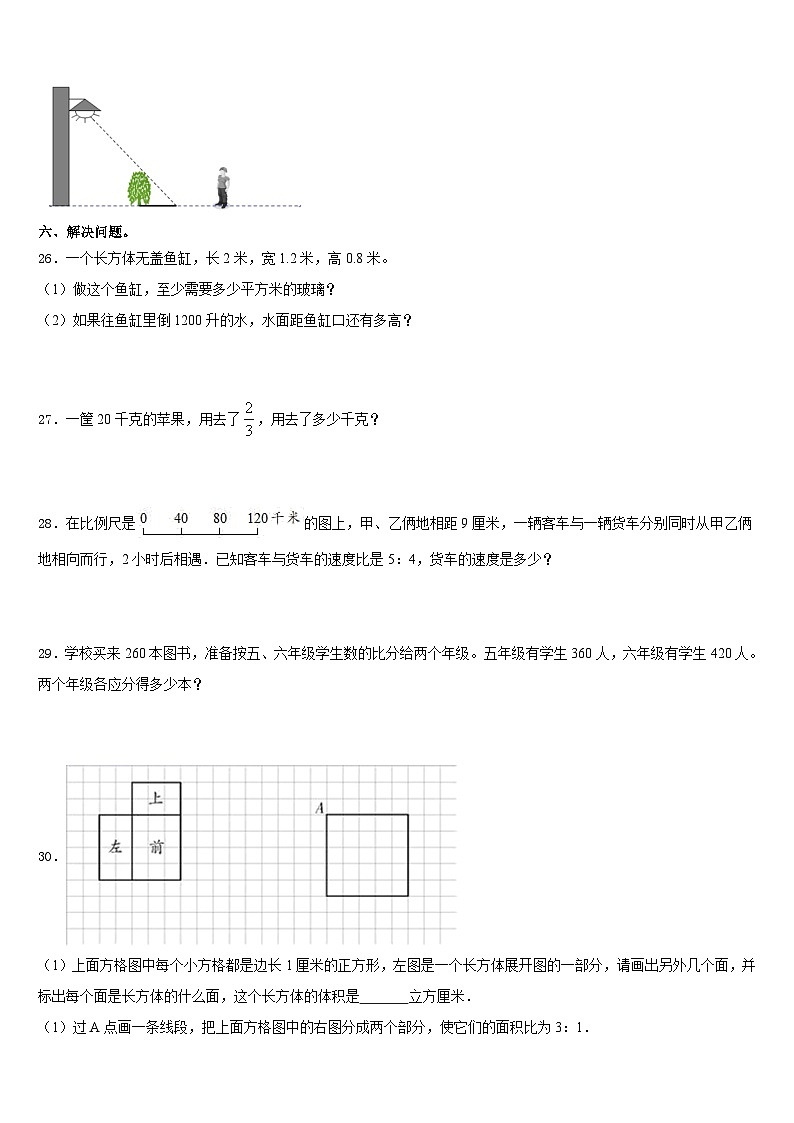 期末模拟试题（试题）人教版六年级上册数学含答案(19)第3页