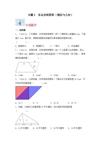 专题5多边形的面积（图形与几何）-2023-2024学年五年级上册数学寒假专项提升（北师大版）