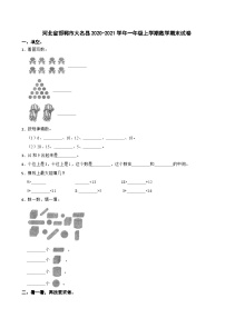 河北省邯郸市大名县2020-2021学年一年级上学期数学期末试卷