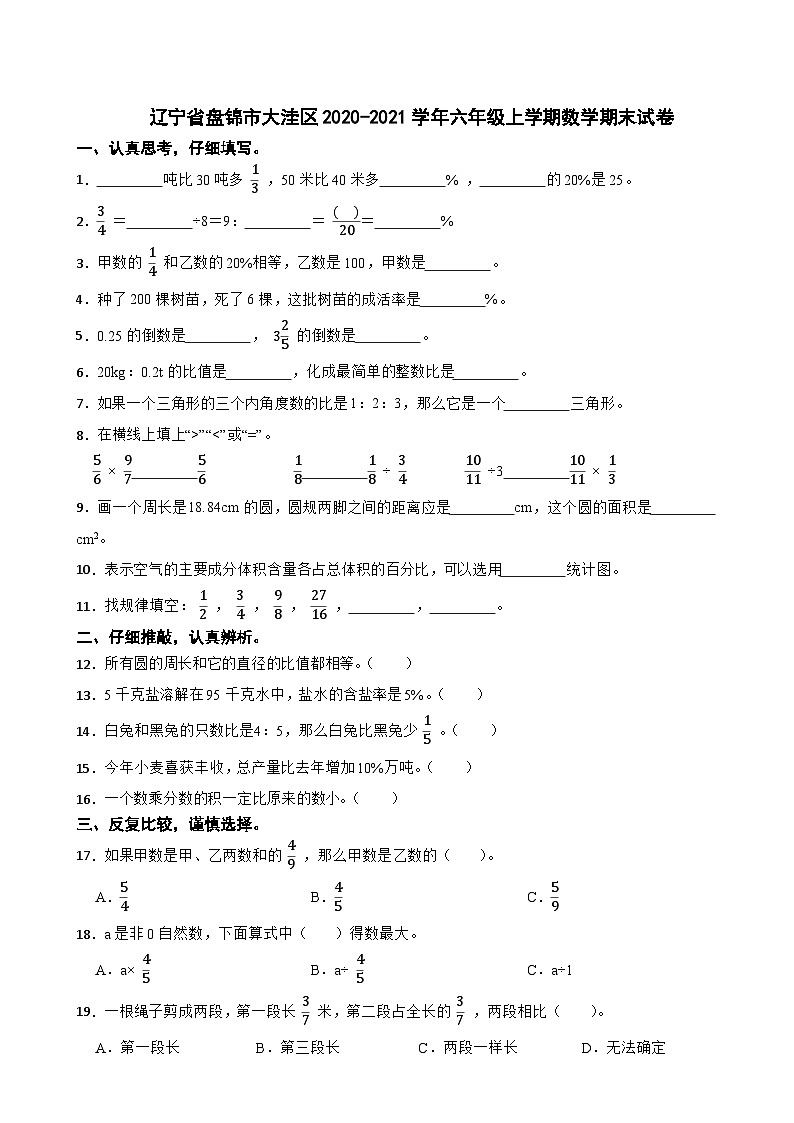 辽宁省盘锦市大洼区2020-2021学年六年级上学期数学期末试卷01