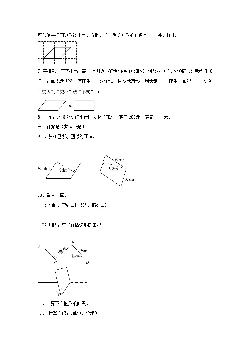 平行四边形、梯形、三角形的面积--小学数学五年级上学期期末必刷常考题 人教版02