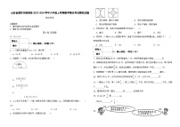 山东省潍坊市临朐县2023-2024学年六年级上学期数学期末考试模拟试题