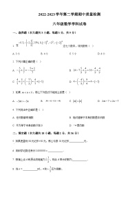 2022-2023学年上海市进才实验中学六年级下学期期中数学试题