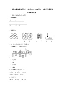 青海省果洛藏族自治州久治县2023-2024学年一年级上学期期末考试数学试题