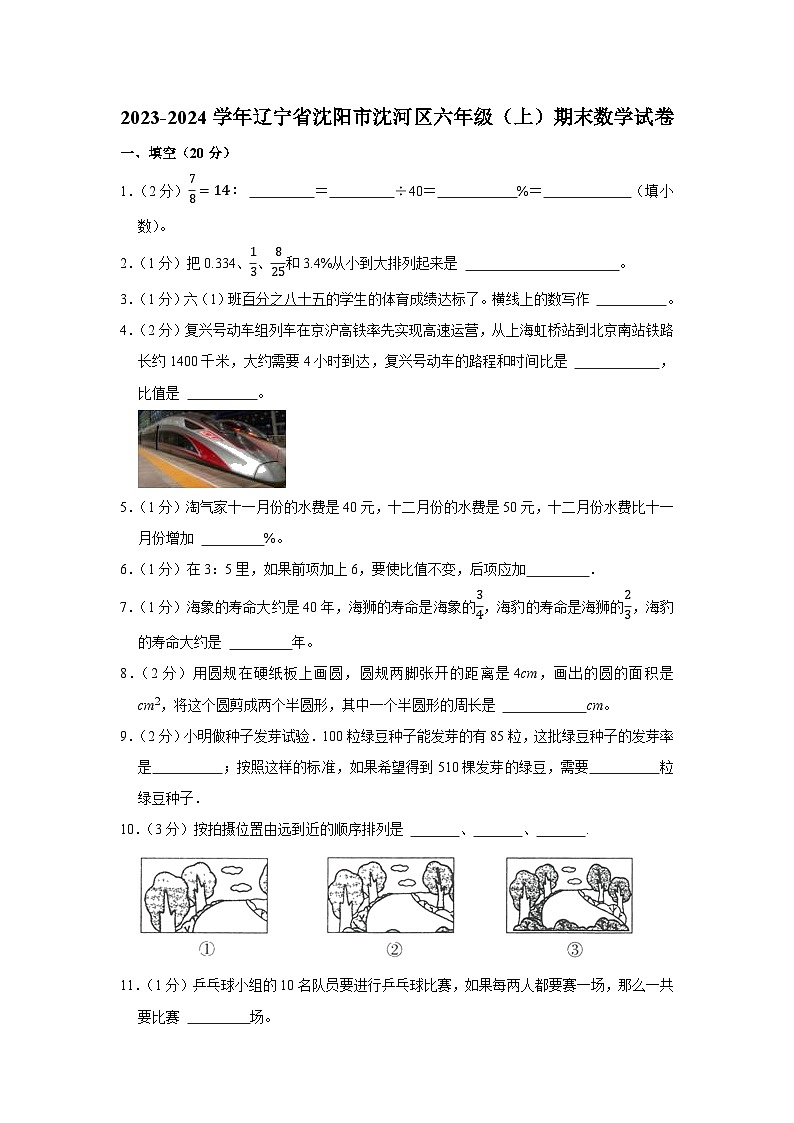 辽宁省沈阳市沈河区2023-2024学年六年级上学期期末数学试卷01