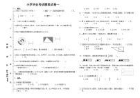 小学毕业考试模拟试卷（试题）浙教版六年级下册数学