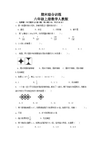 2023-2024学年期末综合训练(试题)六年级上册数学人教版