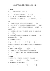 2023-2024学年六年级上学期数学期末综合训练(含答案) (22)