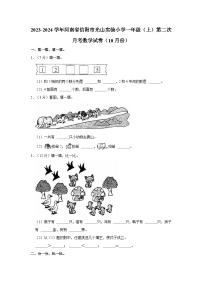 河南省信阳市光山实验小学2023-2024学年一年级上学期第二次月考数学试卷（10月份）