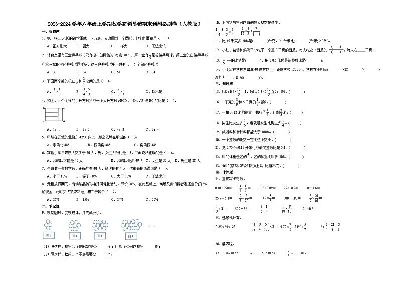 湖北省2023-2024学年六年级上学期数学高频易错期末预测卷（人教版）第1页