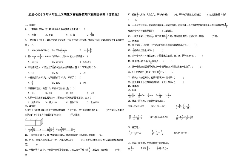 江苏省南京市2023-2024学年六年级上学期数学高频易错期末预测卷（苏教版）.201