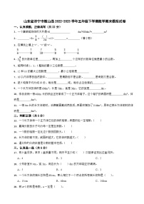 山东省济宁市微山县2022-2023学年五年级下学期期末模拟数学试卷