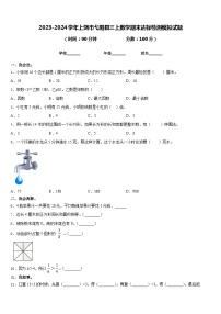 2023-2024学年上饶市弋阳县三上数学期末达标检测模拟试题含答案