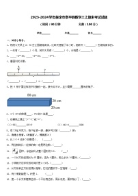 2023-2024学年保定市阜平县数学三上期末考试试题含答案