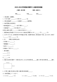 2023-2024学年四会市数学三上期末统考试题含答案