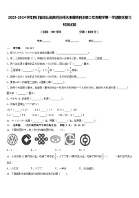 2023-2024学年四川省凉山彝族自治州木里藏族自治县三年级数学第一学期期末复习检测试题含答案