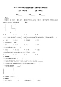 2023-2024学年安徽省芜湖市三上数学期末调研试题含答案