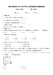 黑龙江省讷河市2023-2024学年三上数学期末复习检测模拟试题含答案