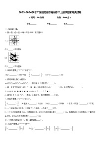 2023-2024学年广东省茂名市高州市三上数学期末经典试题含答案