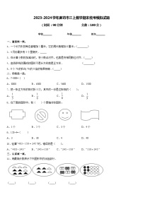 2023-2024学年廊坊市三上数学期末统考模拟试题含答案