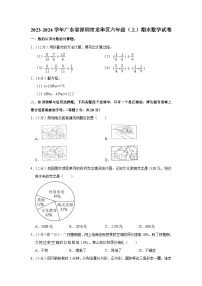 广东省深圳市龙华区2023-2024学年六年级上学期期末数学试卷