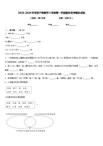 2023-2024学年抚宁县数学三年级第一学期期末统考模拟试题含答案