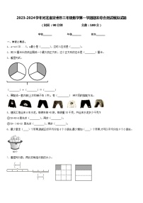 2023-2024学年河北省定州市三年级数学第一学期期末综合测试模拟试题含答案