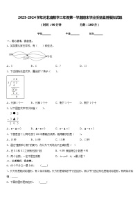 2023-2024学年河北省数学三年级第一学期期末学业质量监测模拟试题含答案