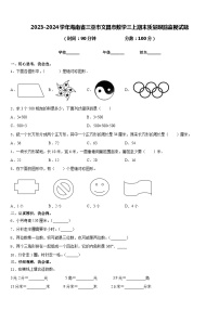 2023-2024学年海南省三亚市文昌市数学三上期末质量跟踪监视试题含答案