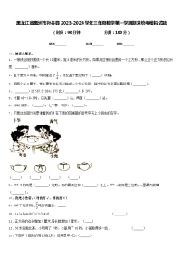 黑龙江省黑河市孙吴县2023-2024学年三年级数学第一学期期末统考模拟试题含答案