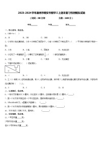 2023-2024学年温州市瑞安市数学三上期末复习检测模拟试题含答案