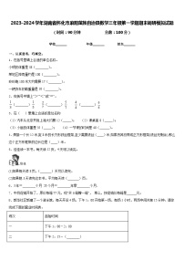 2023-2024学年湖南省怀化市麻阳苗族自治县数学三年级第一学期期末调研模拟试题含答案