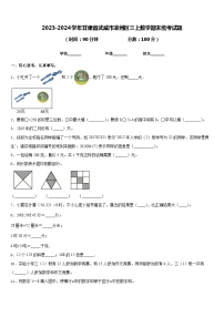 2023-2024学年甘肃省武威市凉州区三上数学期末统考试题含答案