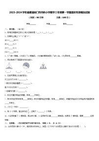 2023-2024学年福建省厦门市内林小学数学三年级第一学期期末检测模拟试题含答案