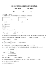 2023-2024学年绥化市望奎县三上数学期末经典试题含答案