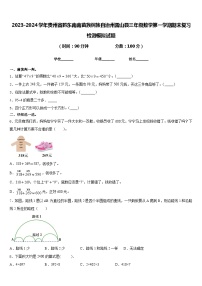 2023-2024学年贵州省黔东南南苗族侗族自治州雷山县三年级数学第一学期期末复习检测模拟试题含答案