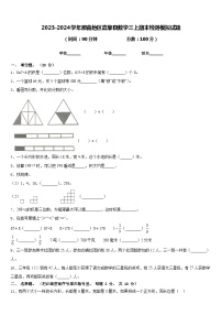 2023-2024学年那曲地区嘉黎县数学三上期末检测模拟试题含答案