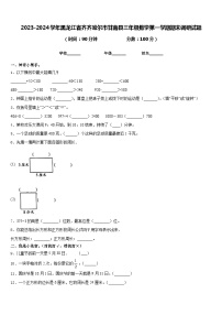 2023-2024学年黑龙江省齐齐哈尔市甘南县三年级数学第一学期期末调研试题含答案