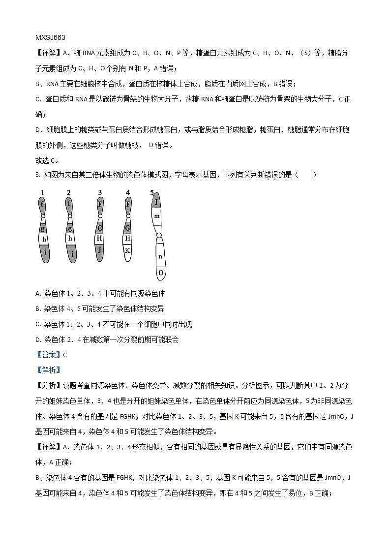 2023-2024学年江苏省苏州名小六年级数学第一学期期末模拟检测二(有答案)第2页