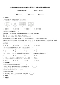 宁德市福鼎市2023-2024学年数学三上期末复习检测模拟试题含答案