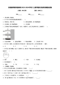 安徽省阜阳市临泉县2023-2024学年三上数学期末质量检测模拟试题含答案