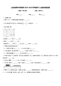 山东省潍坊市青州市2023-2024学年数学三上期末经典试题含答案