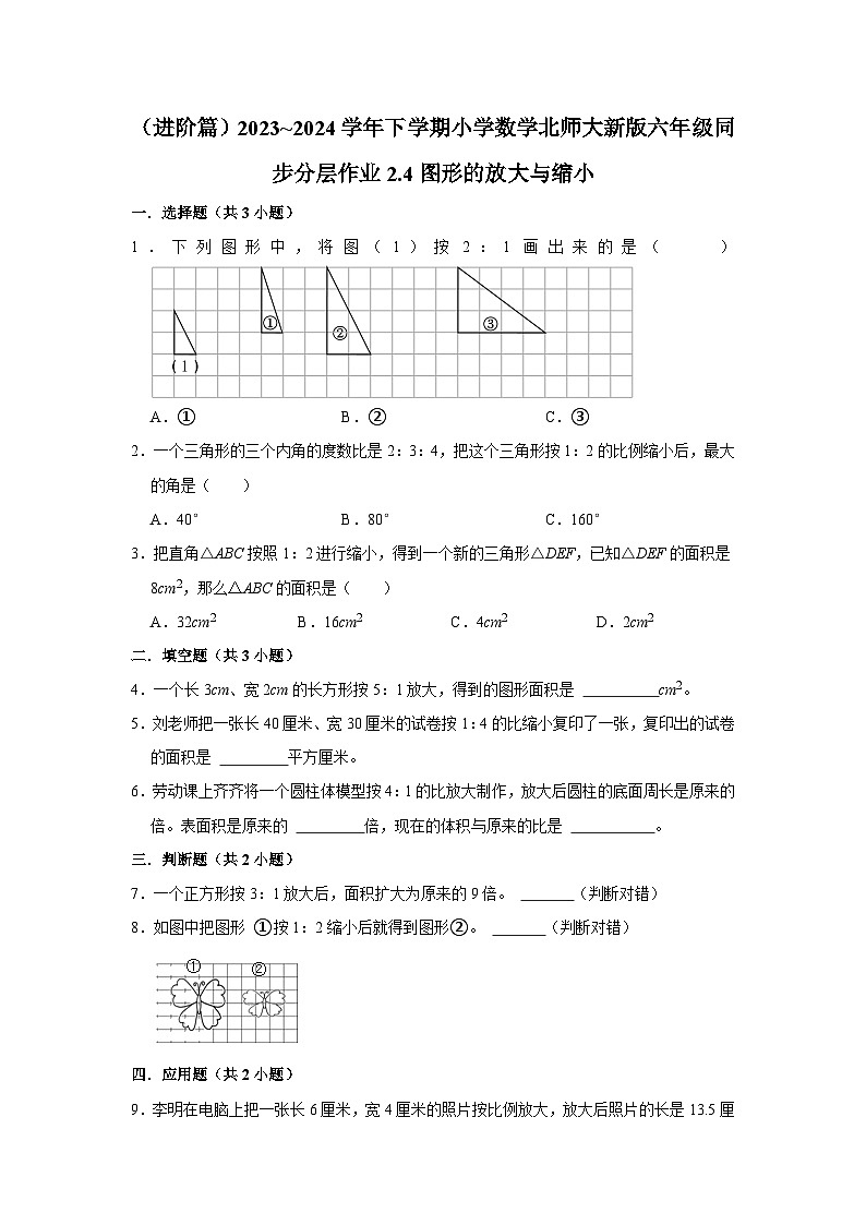 2.4图形的放大与缩小（进阶篇）2023_2024学年下学期小学数学北师大新版六年级同步分层作业01